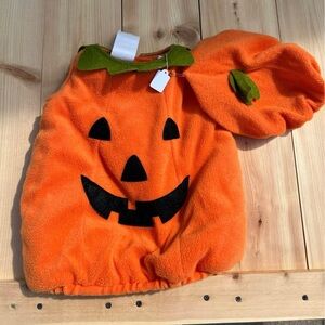 Baby Pottery Barn pumpkin costume with hat